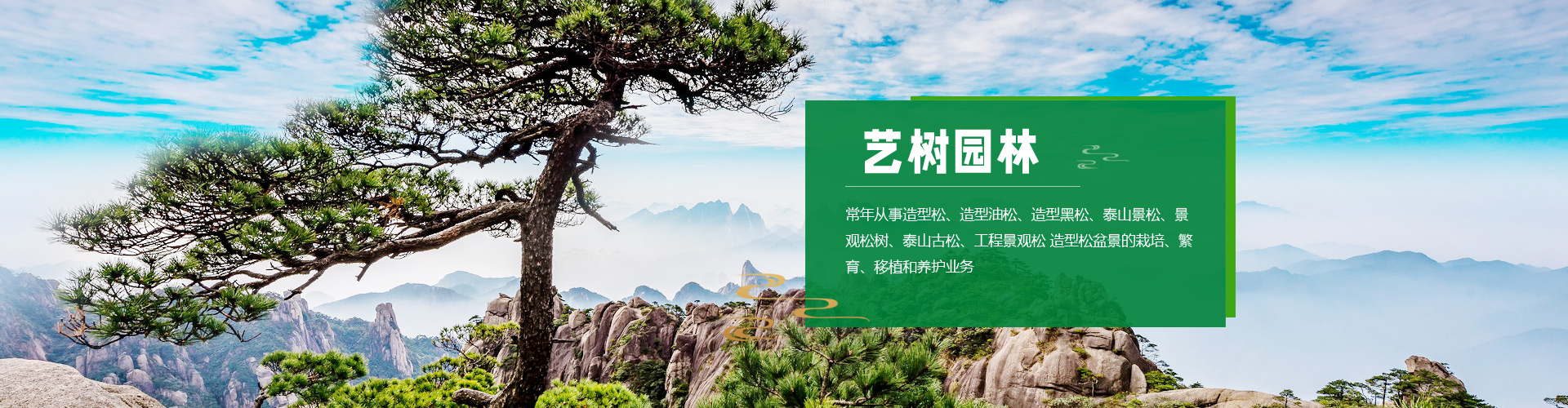 泰安藝樹園林綠化有限公司